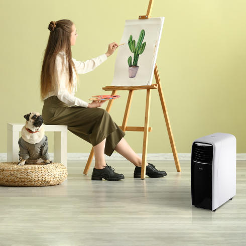 Мобильный кондиционер Ballu BPAC-12 CD