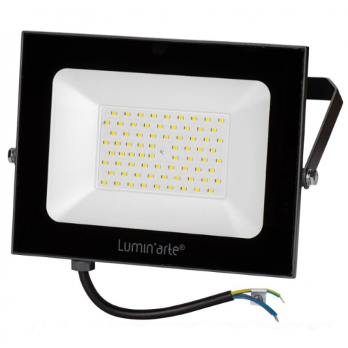 Прожектор светодиодный LuminArte 50 Вт (LFL-50W/05)