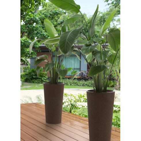 Кашпо Lamela Donica LILIA 250 jumper ECO coffee