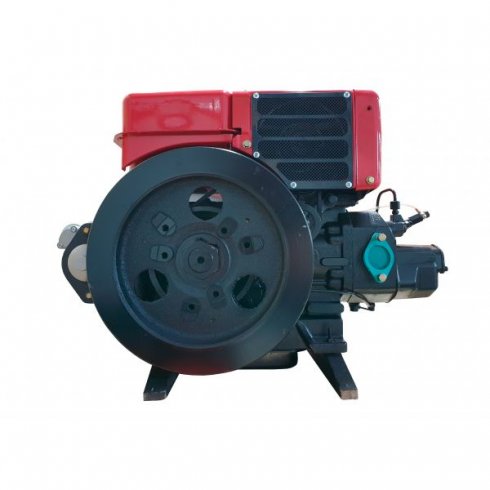 Двигатель дизельный Rossel R15