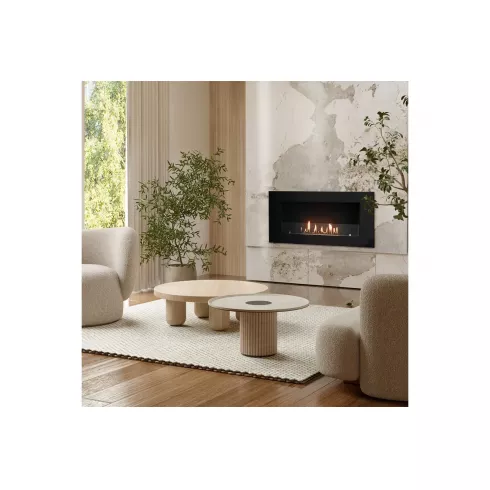 Биокамин Firelight BFP/W-110