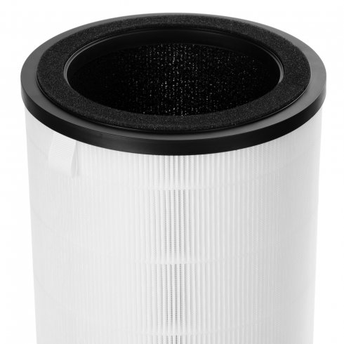 Фильтр Electrolux FAP-2075 Anti Dust