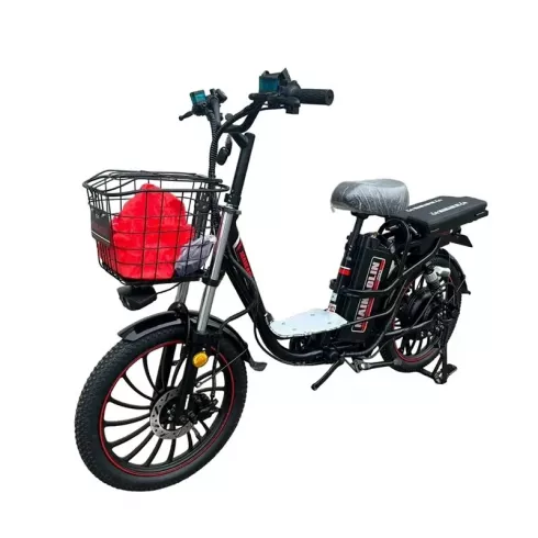 Электровелосипед Maikaolin 20 (H3/20- 21Ah)