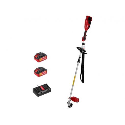 Триммер аккумуляторный Wortex TB 3036-1 ALL1 XLT SET (1334872)