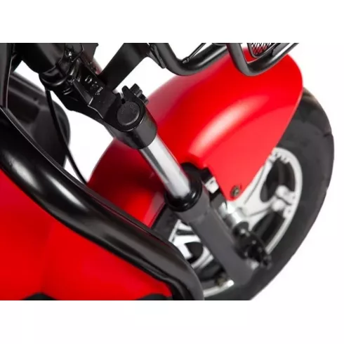 Трицикл Rutrike Шкипер зеленый