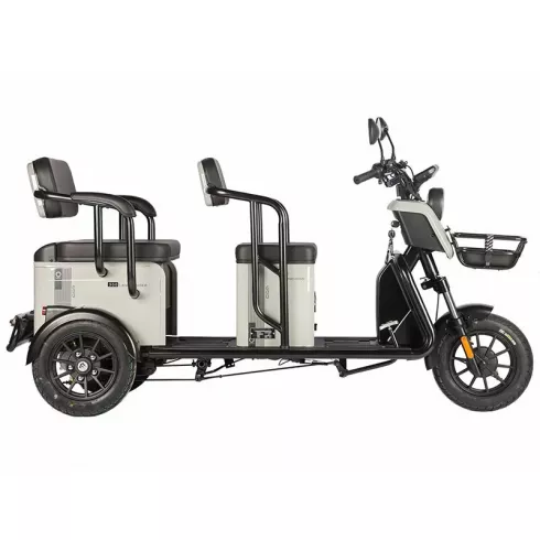 Трицикл Wanshida LC300 60V серый