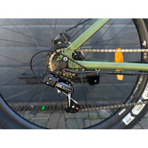 Электровелосипед Roxy D205 зеленый/черный