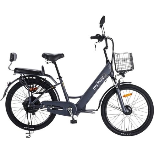 Электровелосипед MyWay Truck 500 24 (15, графитовый)