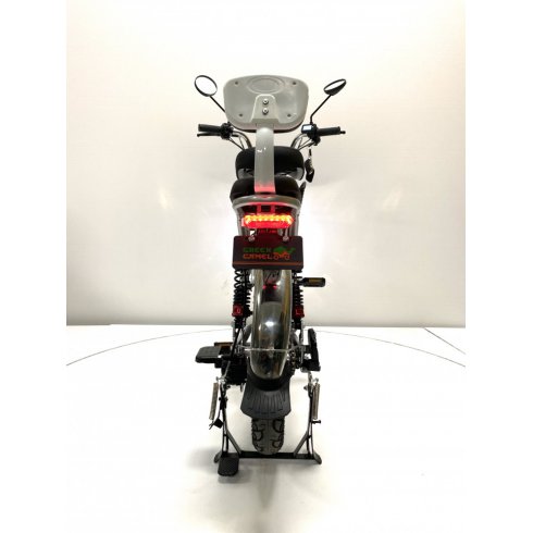 Электровелосипед Green Camel Транк Монстр PRO (TMPro-6020) серебристый