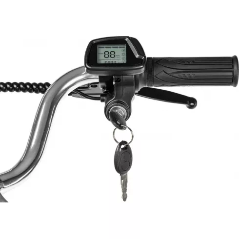 Электровелосипед MyWay Truck 1.0 350 20 (15, черный)