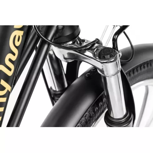 Электровелосипед MyWay Truck 1.0 350 20 (15, черный)