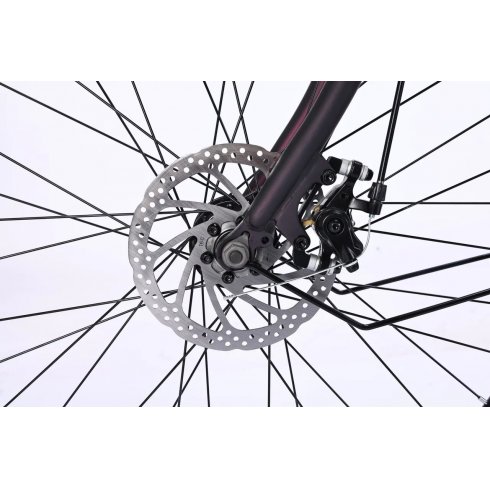 Электровелосипед MyWay Road 1.0 250 26 (17, черный антрацит)