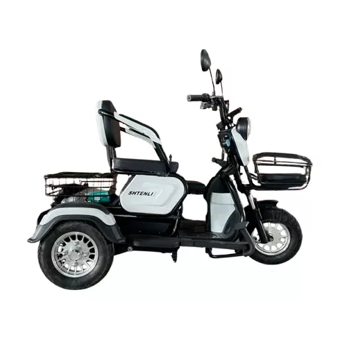 Трицикл Shtenli Model 31 SLA 48v 20Ач белый