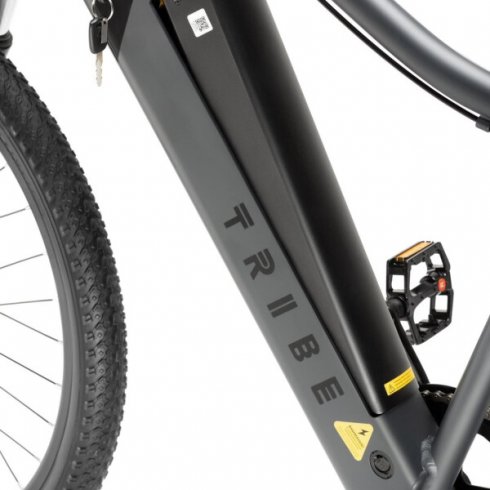 Электровелосипед Tribe Kaya 26 (черный)