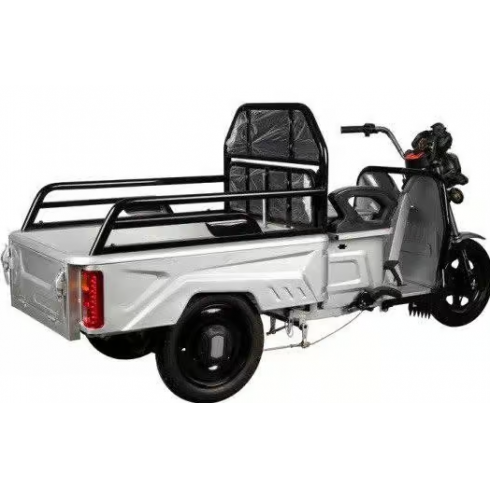 Трицикл Shtenli Model 90 SLA 60v 20Aч серебристый