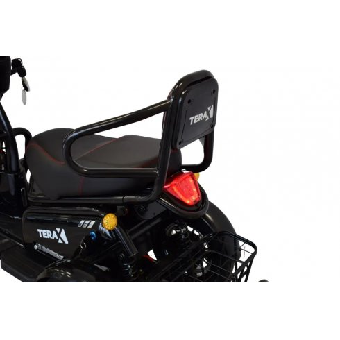 Электротрицикл Terax BIGGY NS009