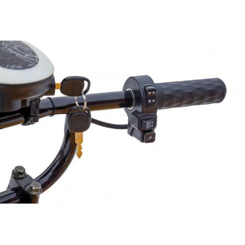 Тележка платформенная аккумуляторная RuTrike ТАКСА ВАЙД