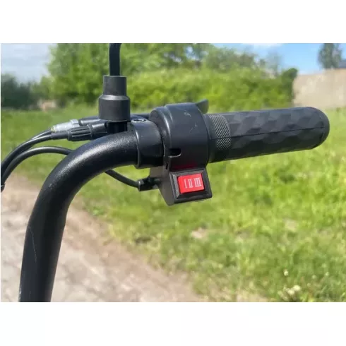 Электроскутер AVM.Plus Delta Lite (зеленый)