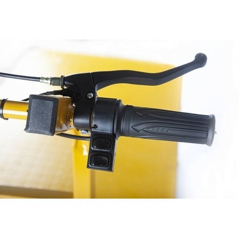 Тележка платформенная аккумуляторная RuTrike ПЛИТА 2000