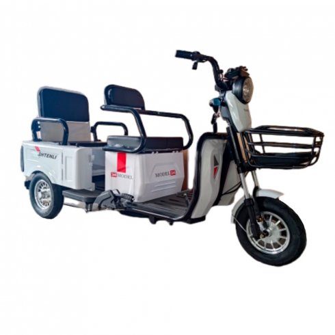 Трицикл Shtenli Model 90 SLA 48v 20Aч серебристый