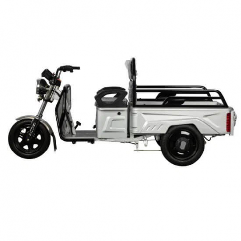 Трицикл Shtenli Model 90 SLA 48v 20Aч серебристый