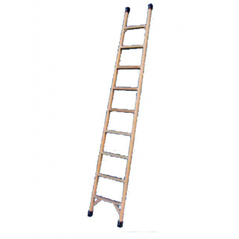 Лестница стеклопластиковая Луч ЛСП 3,0 (с крюком)