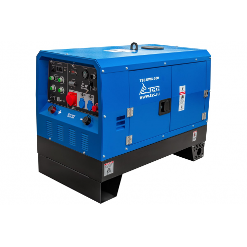 Генератор однопостовой дизельный TSS (ТСС) DWG-300