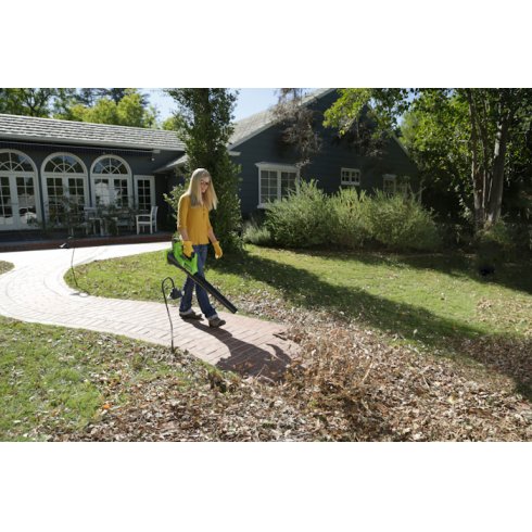 Воздуходувка аккумуляторная Greenworks G40AB (2400807)