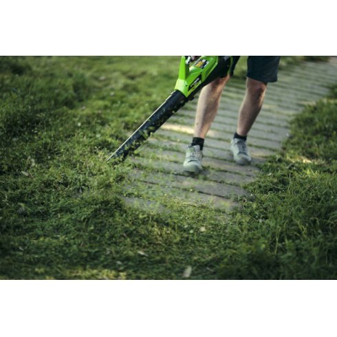 Воздуходувка аккумуляторная Greenworks G40AB (2400807)