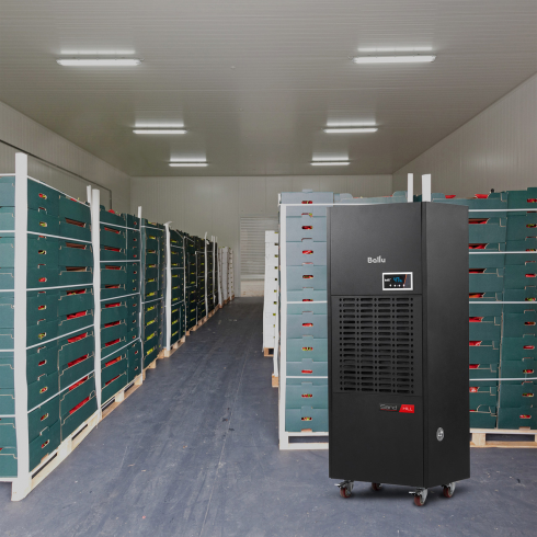 Осушитель воздуха колонного типа Ballu Sand hill BDH-168LE