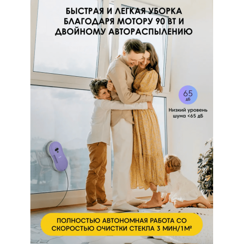 Робот для мытья окон iBoto Win 395