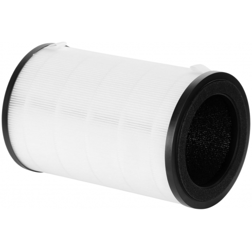 Фильтр Electrolux FAP-2050 Anti Dust