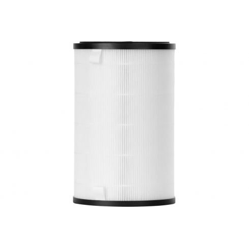 Фильтр Electrolux FAP-2050 Anti Dust