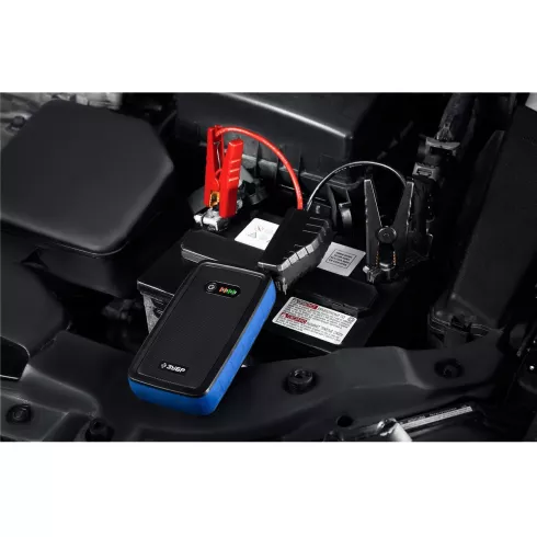 Пусковое устройство Зубр АПУ-800 (59319)