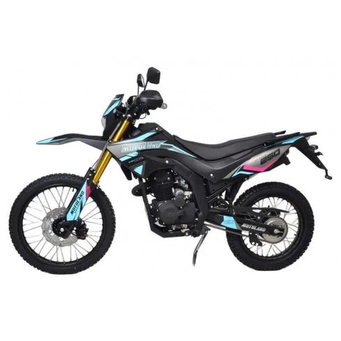 Мотоцикл Motoland 250 ENDURO BLAZER (синий)