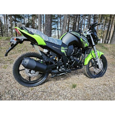 Мотоцикл Motoland BANDIT 300 (зелёный)