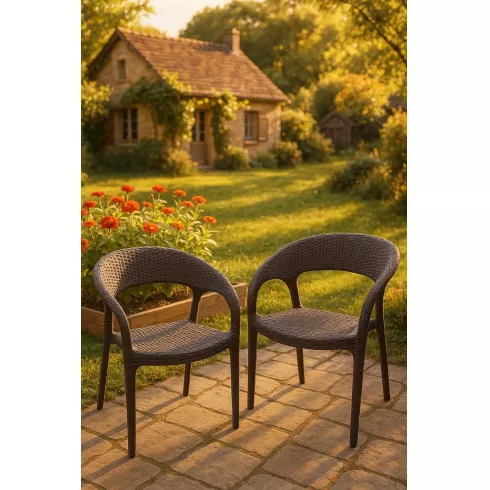 Комплект кресел Springhouse Aprilia темно-коричневый