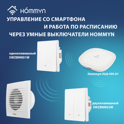 Вентилятор вытяжной Ballu BAF-FW 100 N