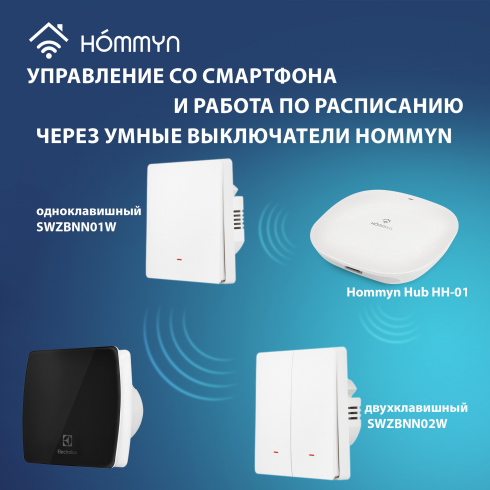 Вентилятор вытяжной Electrolux Glass EAFG-120 black