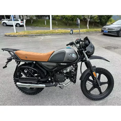 Мотоцикл Racer RC110N-H Scout (коричневый)