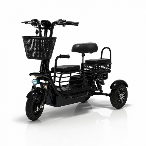 Трицикл BNP Zevs Lite