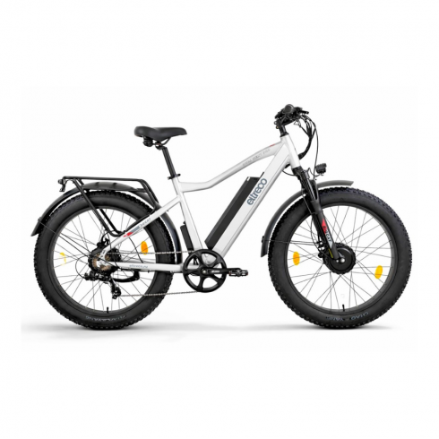 Электровелосипед Eltreco BigCat Dual Next серебристый матовый