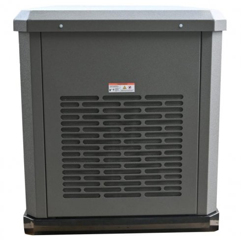 Генератор газовый EVOline GNG 13500 E (адаптированный)