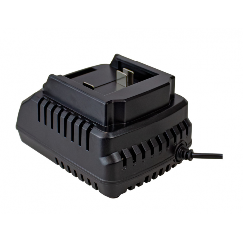 Зарядное устройство Redbo OBC-21D