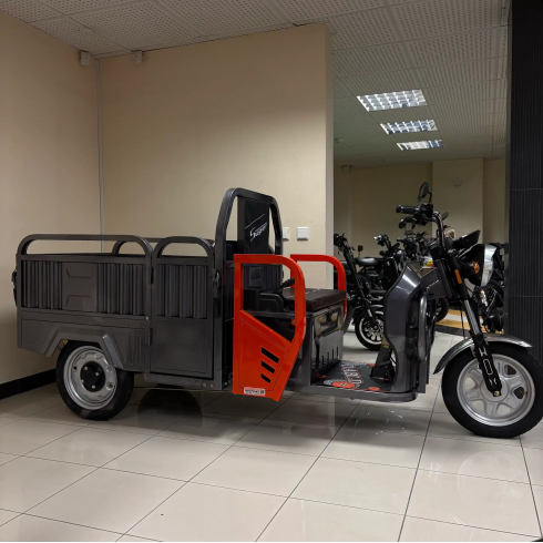 Трицикл BNP Zevs Ultra Combi