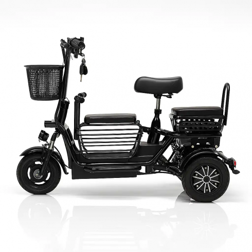 Трицикл BNP Zevs Lite