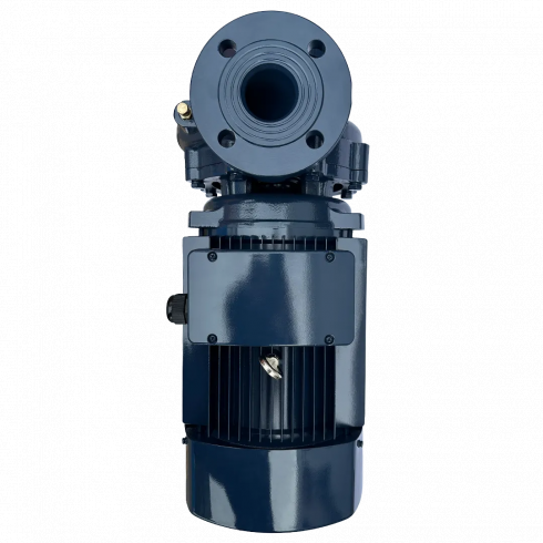 Циркуляционный насос Maxpump F 65-250/220