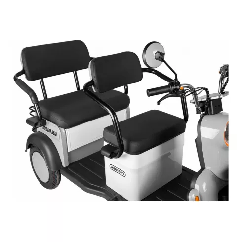 Трицикл Rutrike Gelbert Beta 48V/60V (Серебристо-белый)