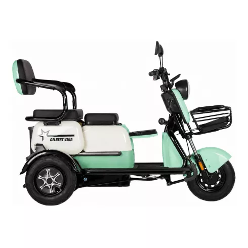 Трицикл Rutrike Вега зеленый