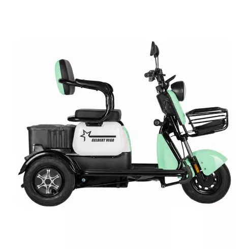 Трицикл Rutrike Вега зеленый